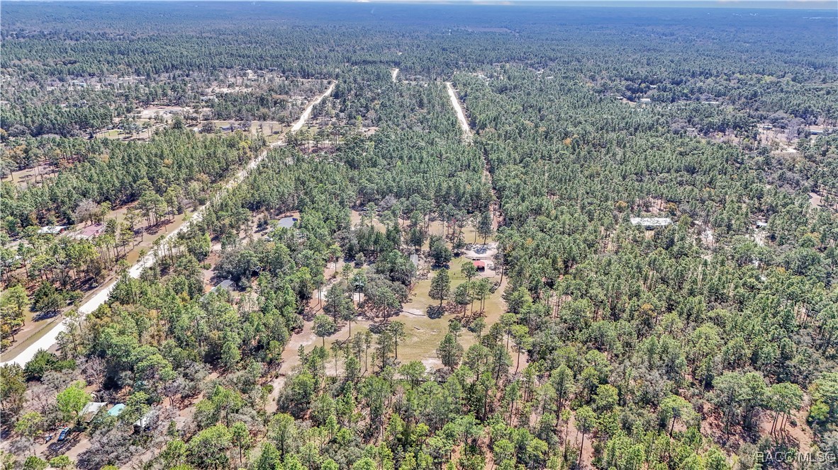 7471 W Quiana Lane, Dunnellon, Florida image 17