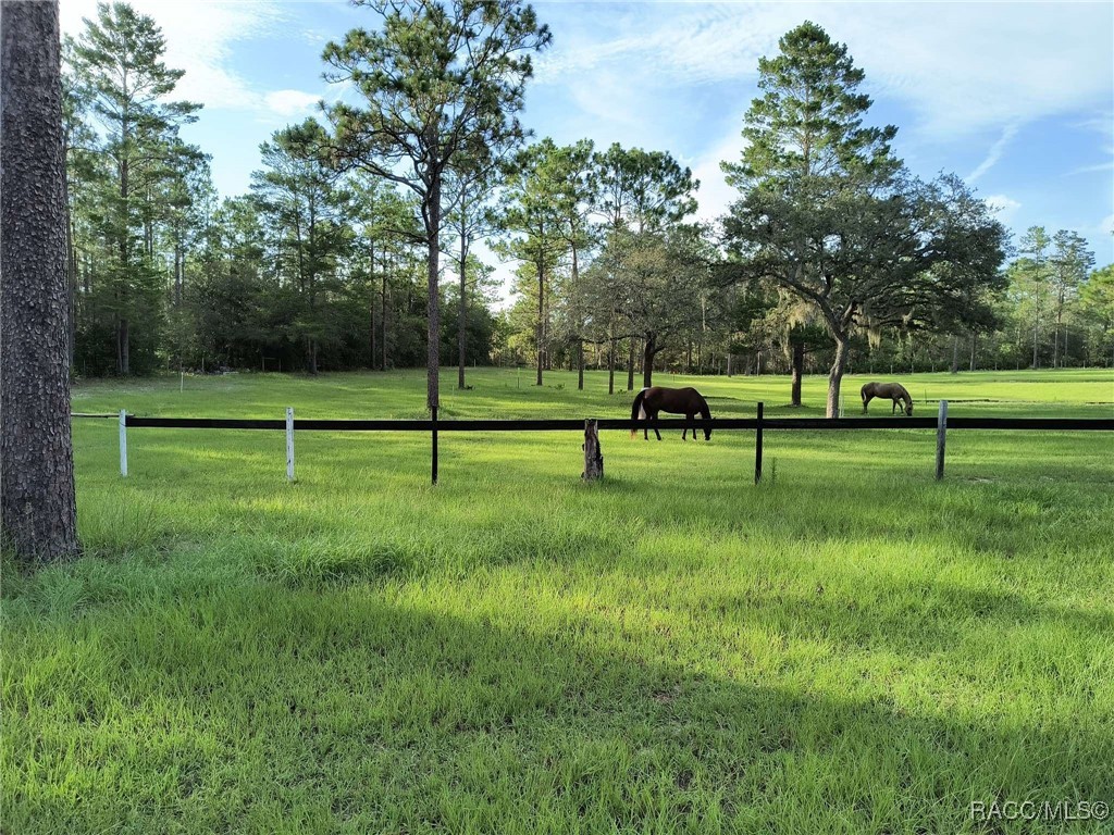 7471 W Quiana Lane, Dunnellon, Florida image 1