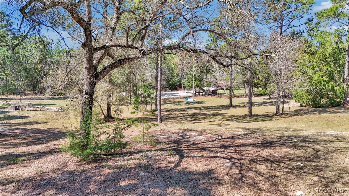 7471 W Quiana Lane, Dunnellon, Florida image 4