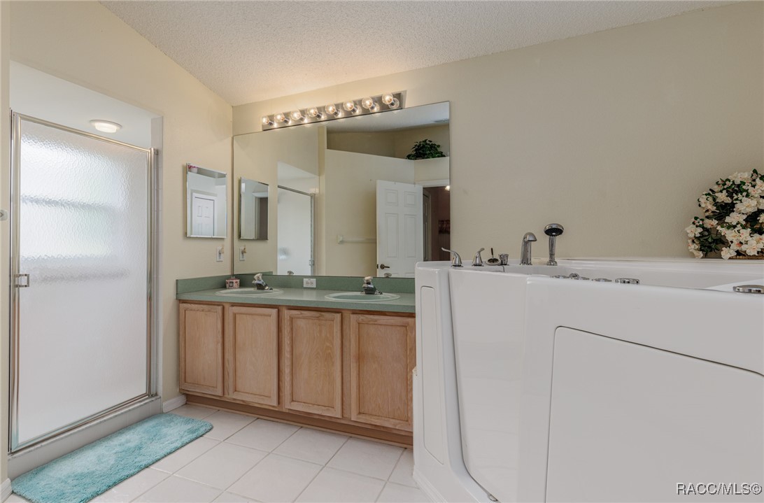 5506 W Dayflower Path, Lecanto, New York image 15