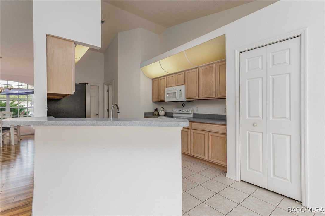 5506 W Dayflower Path, Lecanto, New York image 10