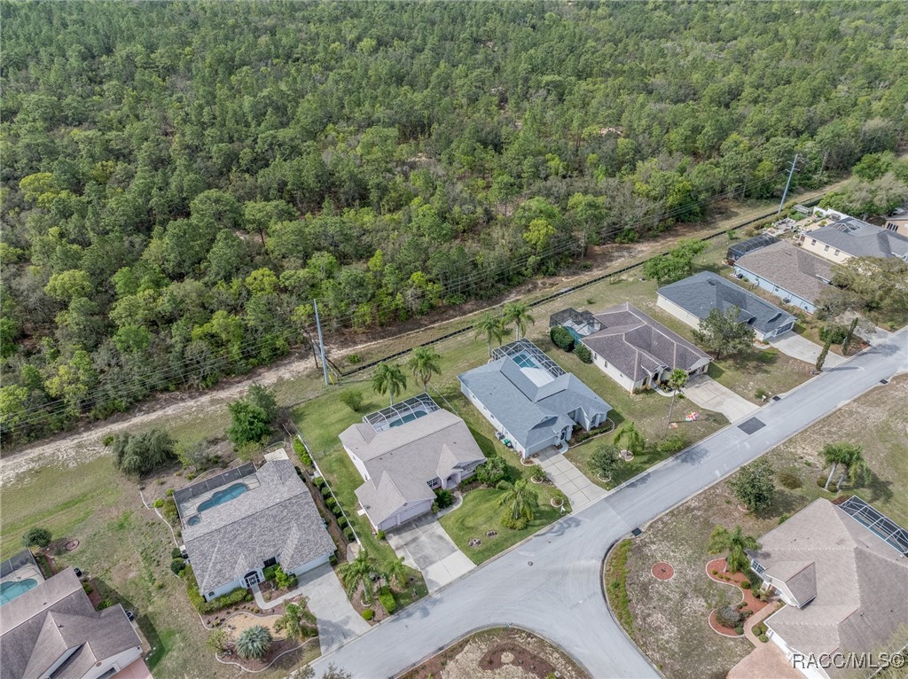 5506 W Dayflower Path, Lecanto, New York image 38