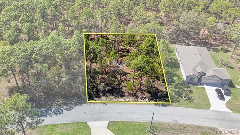 Vacant Land For Sale - 12 Whitewood Court<br/> Homosassa, FL 34446