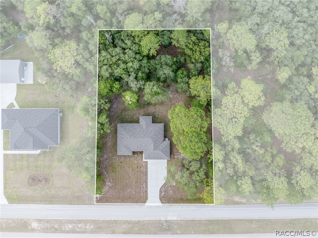 2546 W Pine Ridge Boulevard
