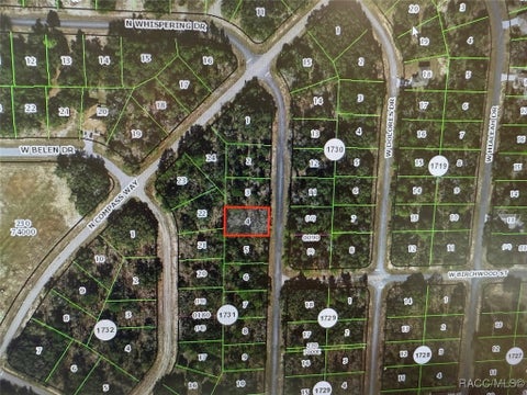 Vacant Land For Sale - 6410 W Whispering Drive<br/> Dunnellon, FL 34434