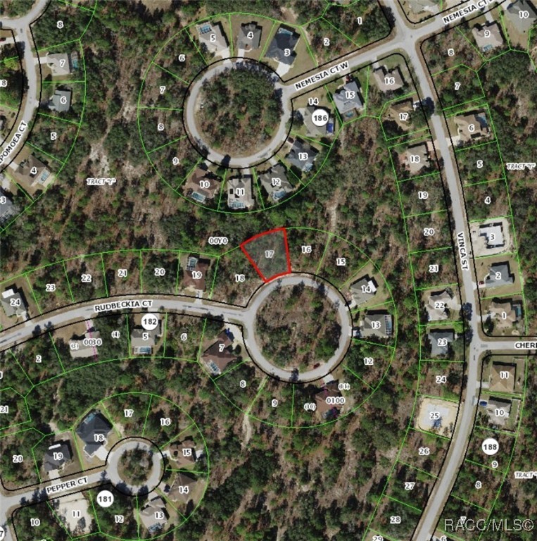 17 Rudbeckia Court, Homosassa, Florida image 1
