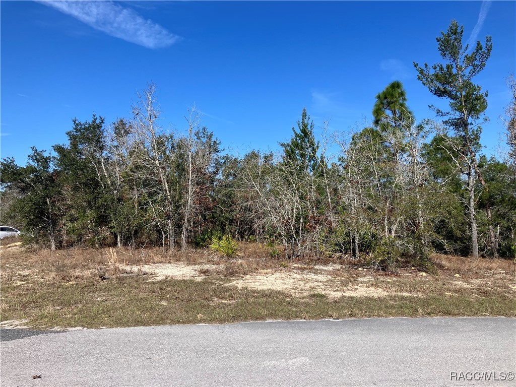 17 Rudbeckia Court, Homosassa, Florida image 1