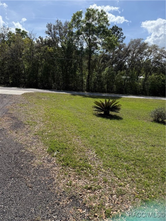 5643 N Western Drive, Hernando, Florida image 34