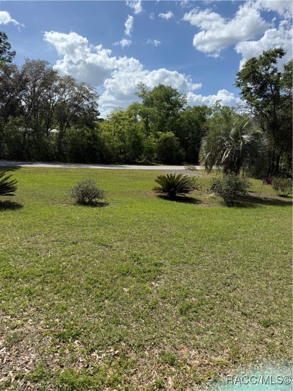 5643 N Western Drive, Hernando, Florida image 35