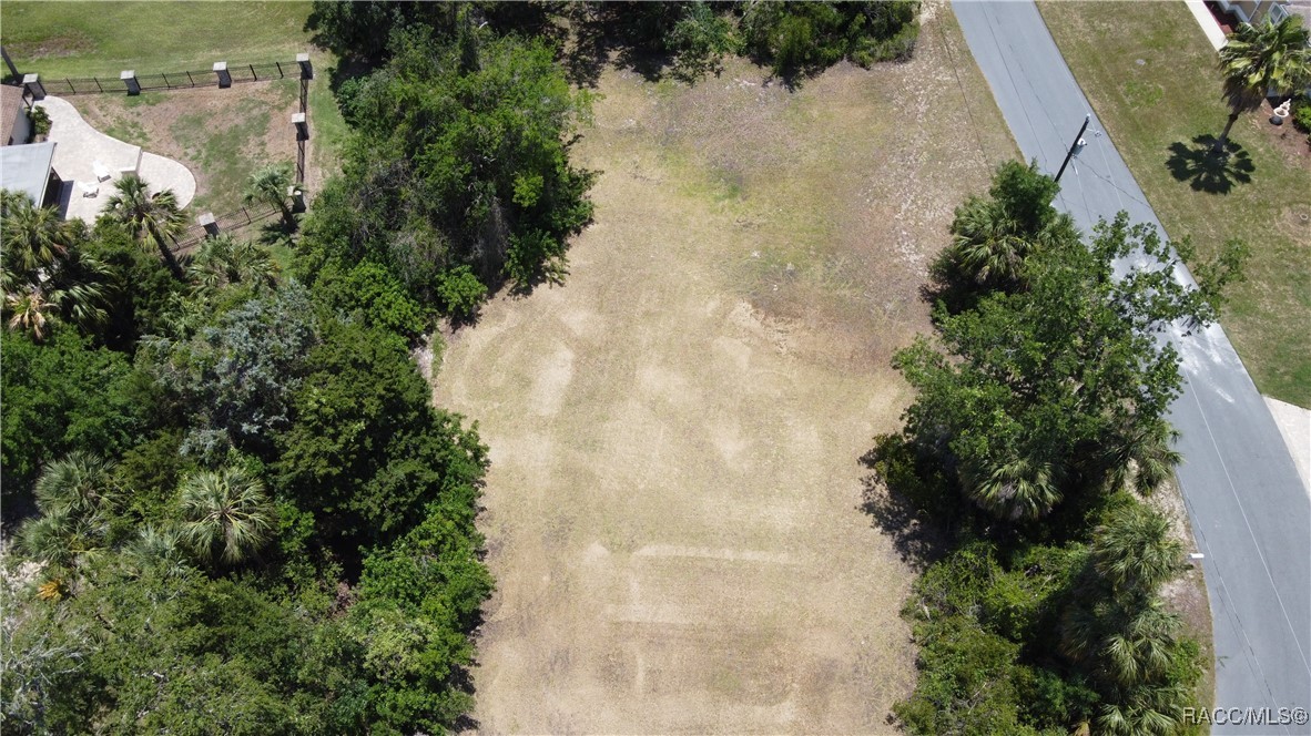 4546 S Sawgrass Circle, Homosassa, Florida image 3