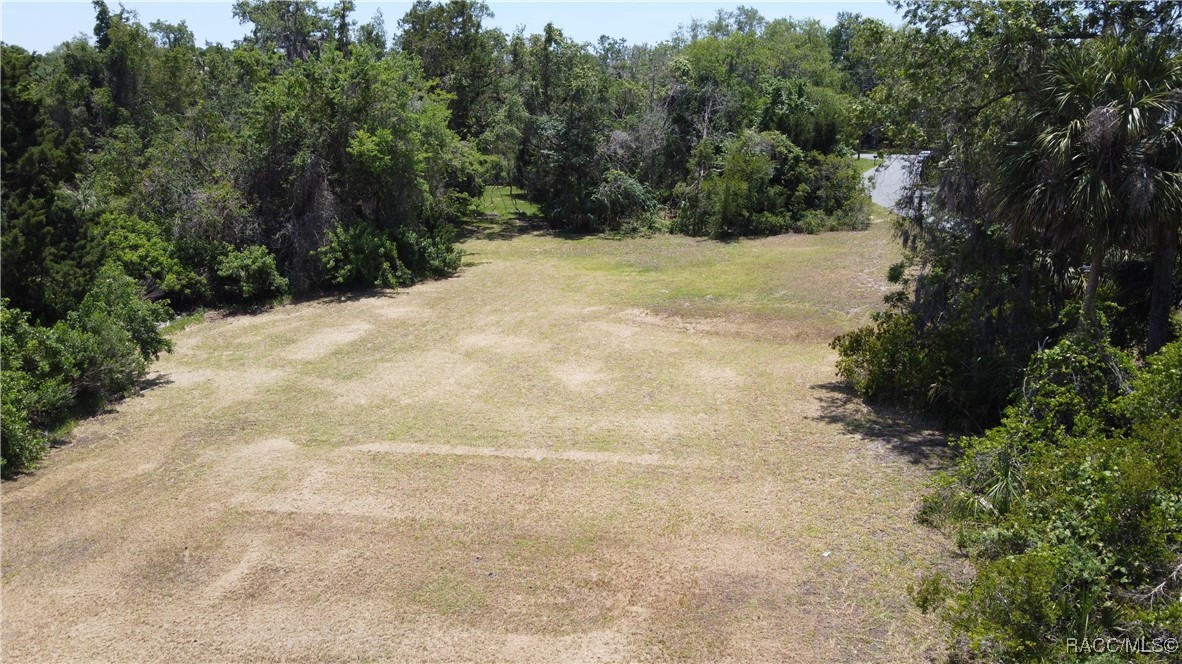 4546 S Sawgrass Circle, Homosassa, Florida image 1