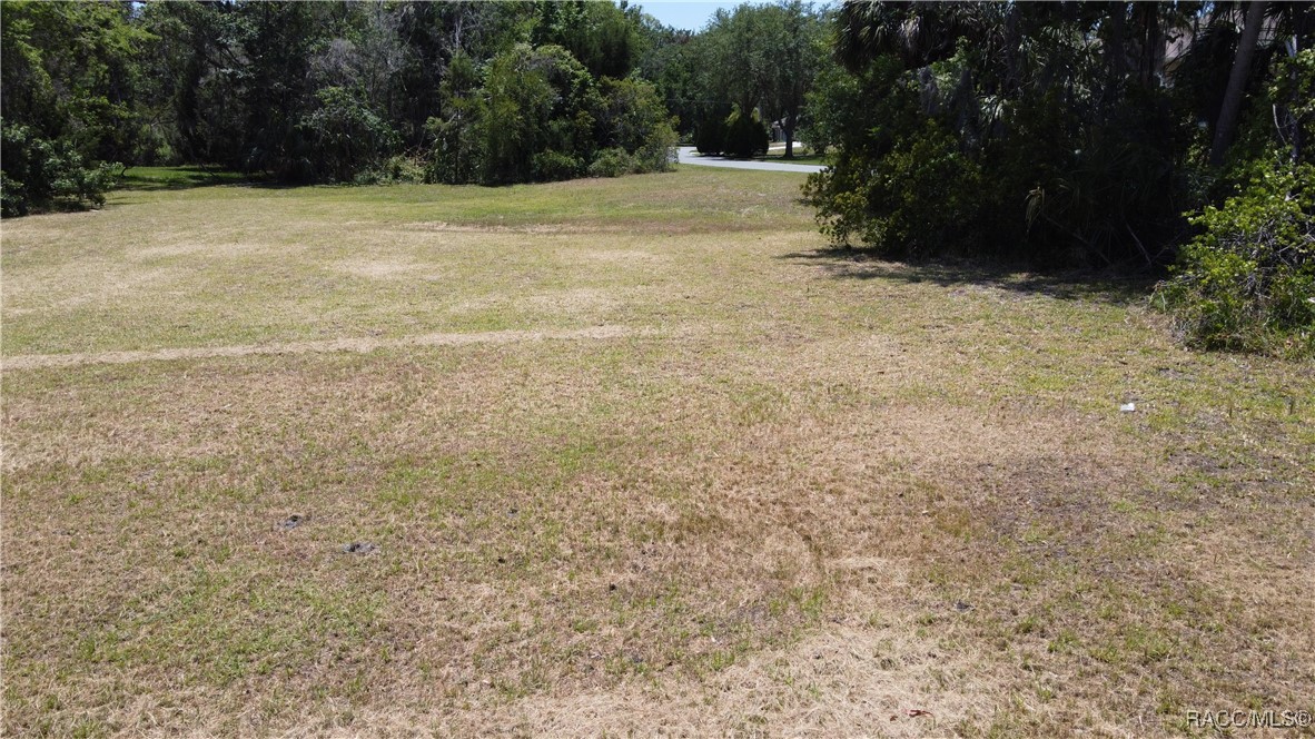 4546 S Sawgrass Circle, Homosassa, Florida image 19
