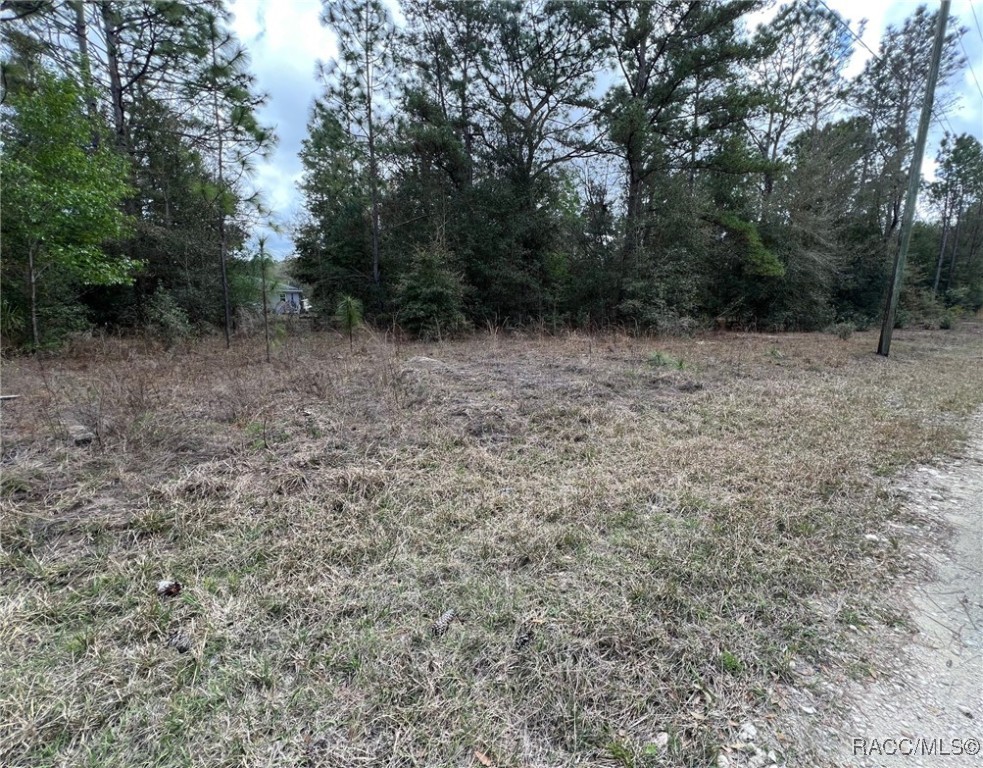 8699 N Discalfani Loop, Crystal River, Florida image 3