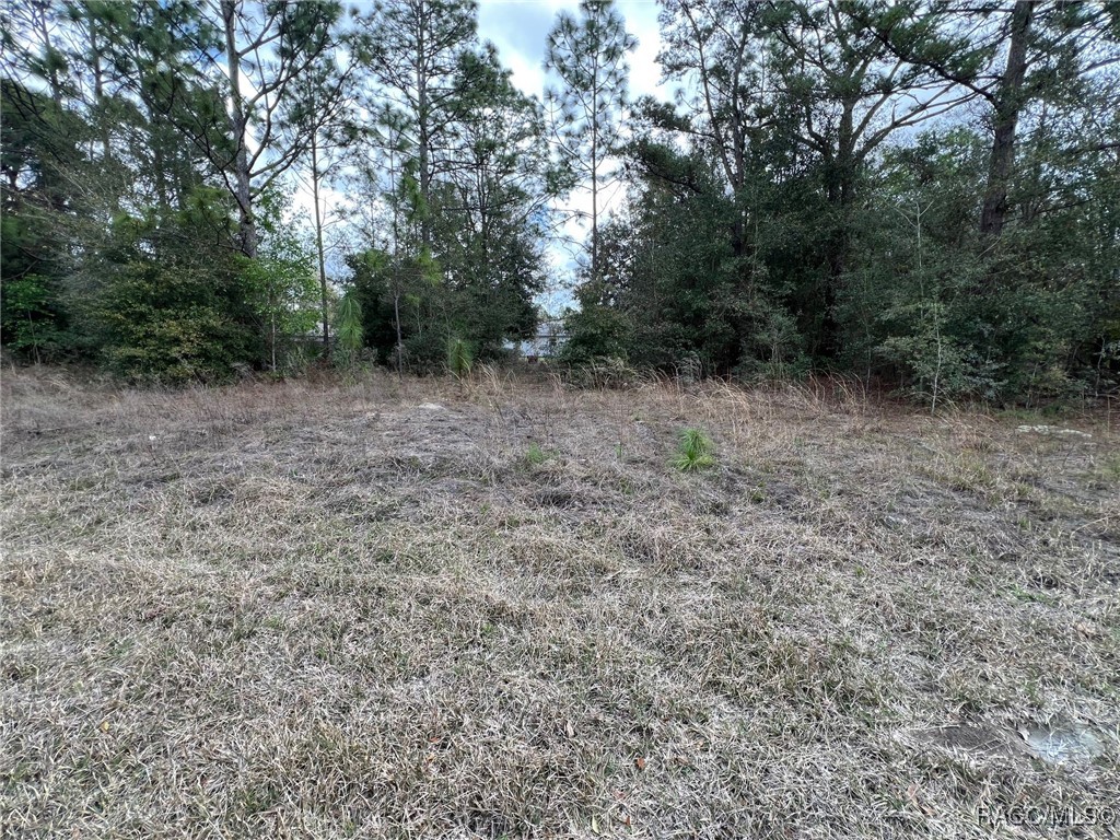 8699 N Discalfani Loop, Crystal River, Florida image 1