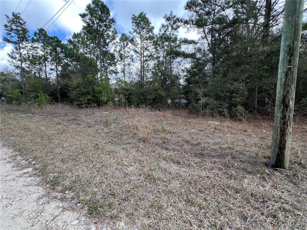 8699 N Discalfani Loop, Crystal River, Florida image 2