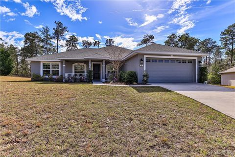 A home in Homosassa