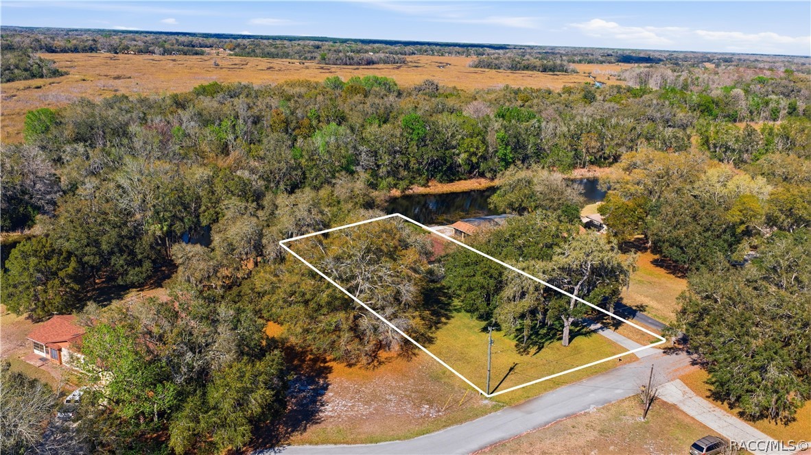 49 Archwood Drive