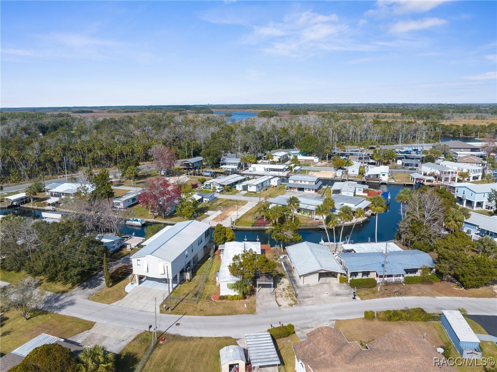 10245 W Blue Springs Court, Homosassa, Florida image 13