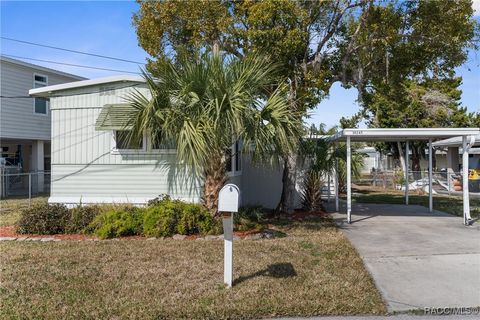 A home in Homosassa