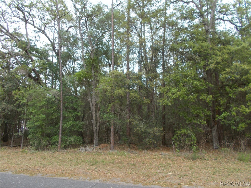 279 N Kinglet Avenue, Hernando, Florida image 2