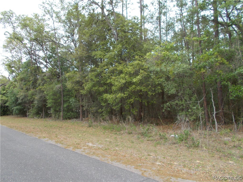 279 N Kinglet Avenue, Hernando, Florida image 1