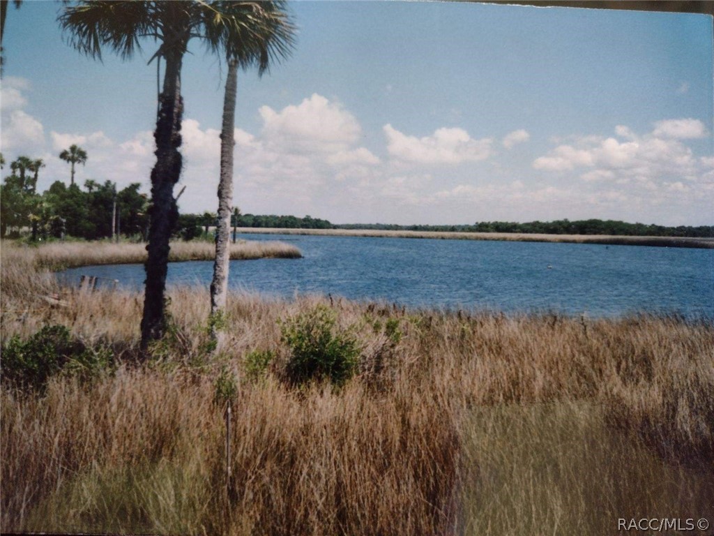 18 Carnahans Island, Crystal River, Florida image 1