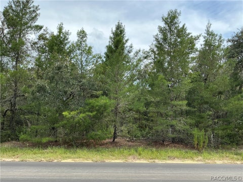 Vacant Land For Sale - 5054 W Deputy Drive<br/> Beverly Hills, FL 34465