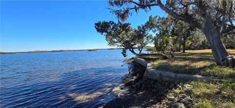 17 & 19 N Spangler Loop Crystal River FL 34429