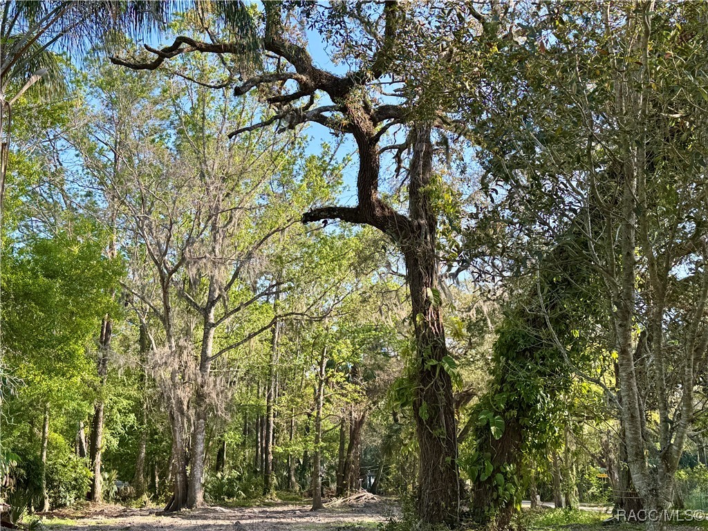 10600 And 10603 W Oliver Street, Homosassa, Florida image 1