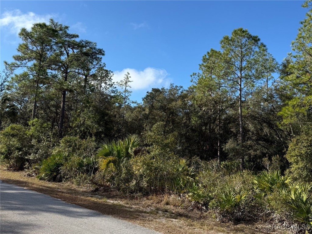 9190 N Bonsai Avenue, Crystal River, Florida image 7