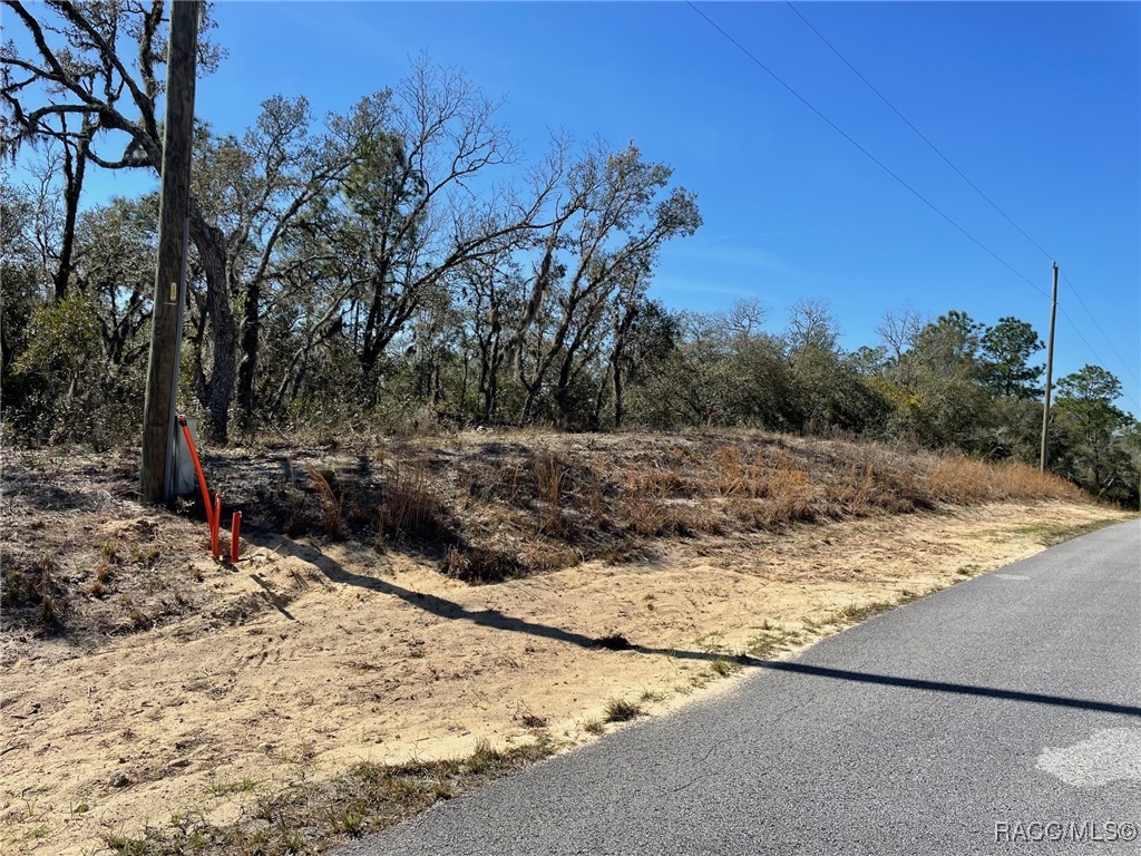LOTS 1415 SW Kearney Lane, Dunnellon, Florida image 2