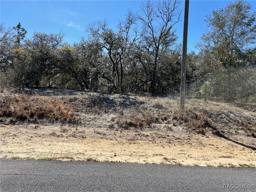 LOTS 1415 SW Kearney Lane, Dunnellon, Florida image 1