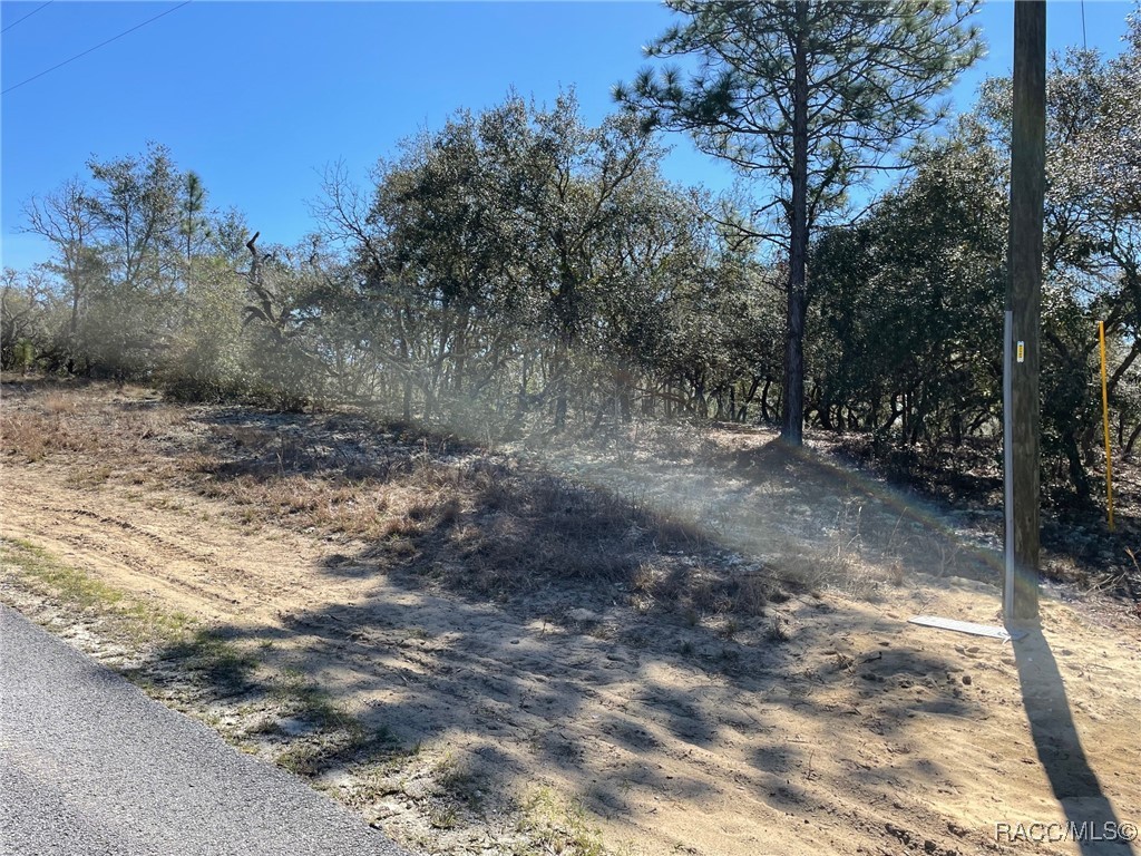LOTS 1415 SW Kearney Lane, Dunnellon, Florida image 3
