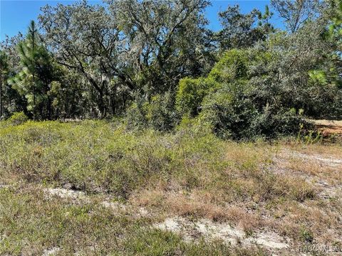 Vacant Land For Sale - LOT 2 SW Winding Hills Road<br/> Dunnellon, FL 34431
