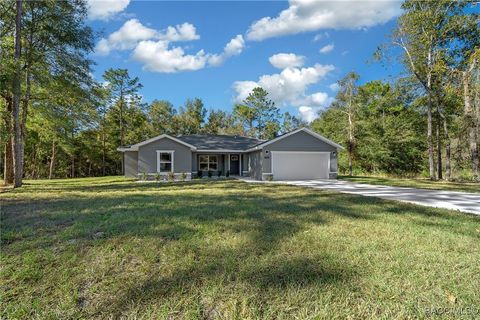 A home in Citrus Springs