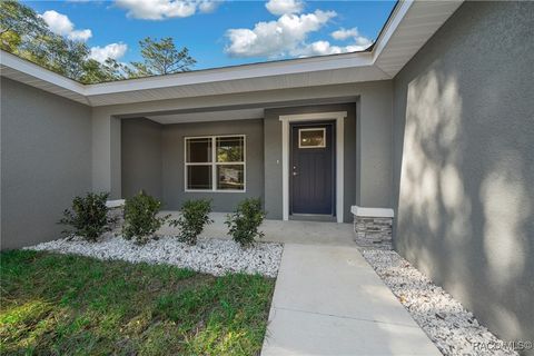 A home in Citrus Springs