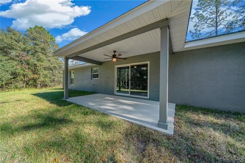 A home in Citrus Springs