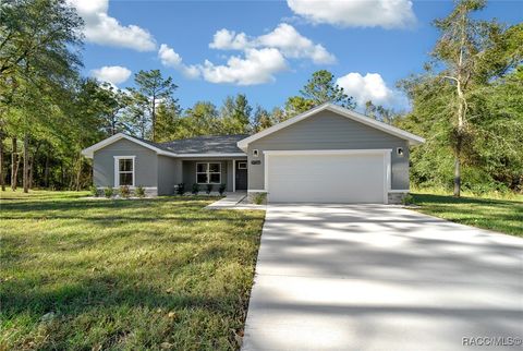 A home in Citrus Springs