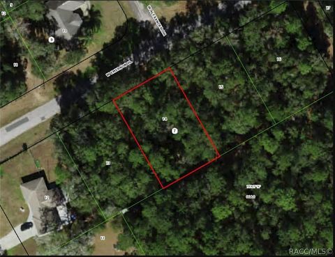 Vacant Land For Sale - 1330 W Emerson Place<br/> Dunnellon, FL 34434