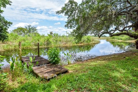 A home in Hernando