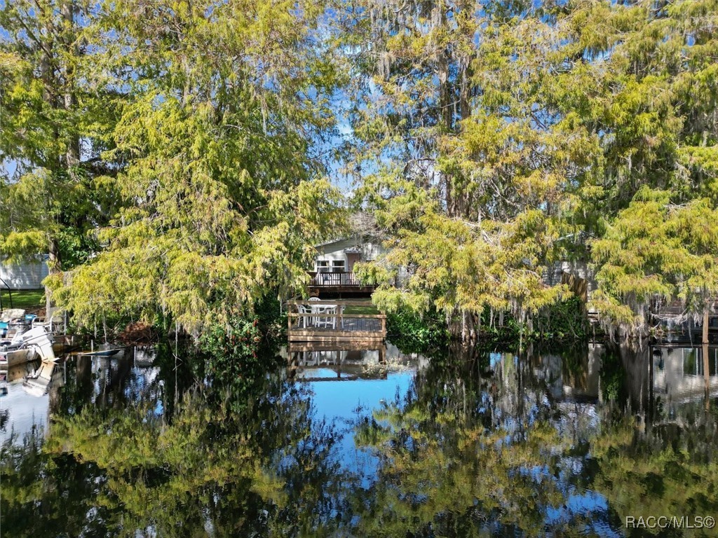 10811 E Gobbler Drive, Floral City, Florida image 41