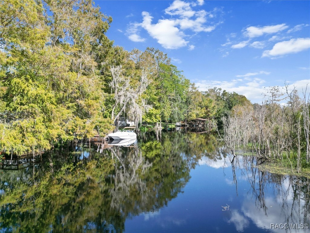 10811 E Gobbler Drive, Floral City, Florida image 4