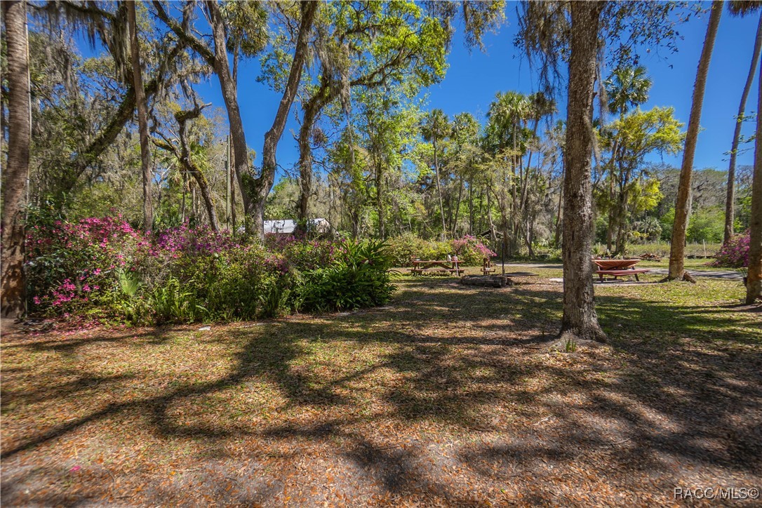 10459 E Lucas Trail, Inverness, Florida image 8