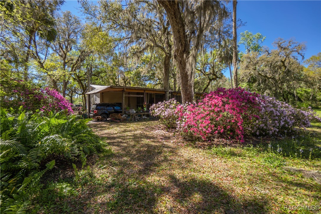 10459 E Lucas Trail, Inverness, Florida image 12