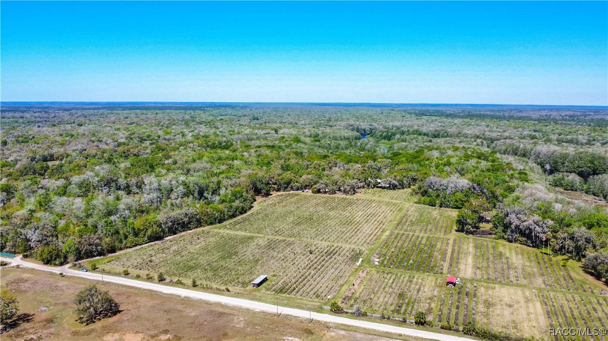 10459 E Lucas Trail, Inverness, Florida image 49