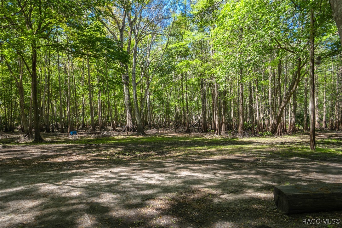 10459 E Lucas Trail, Inverness, Florida image 34