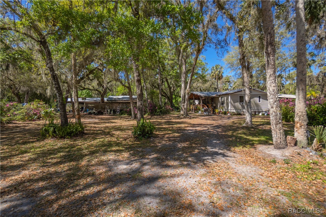 10459 E Lucas Trail, Inverness, Florida image 23