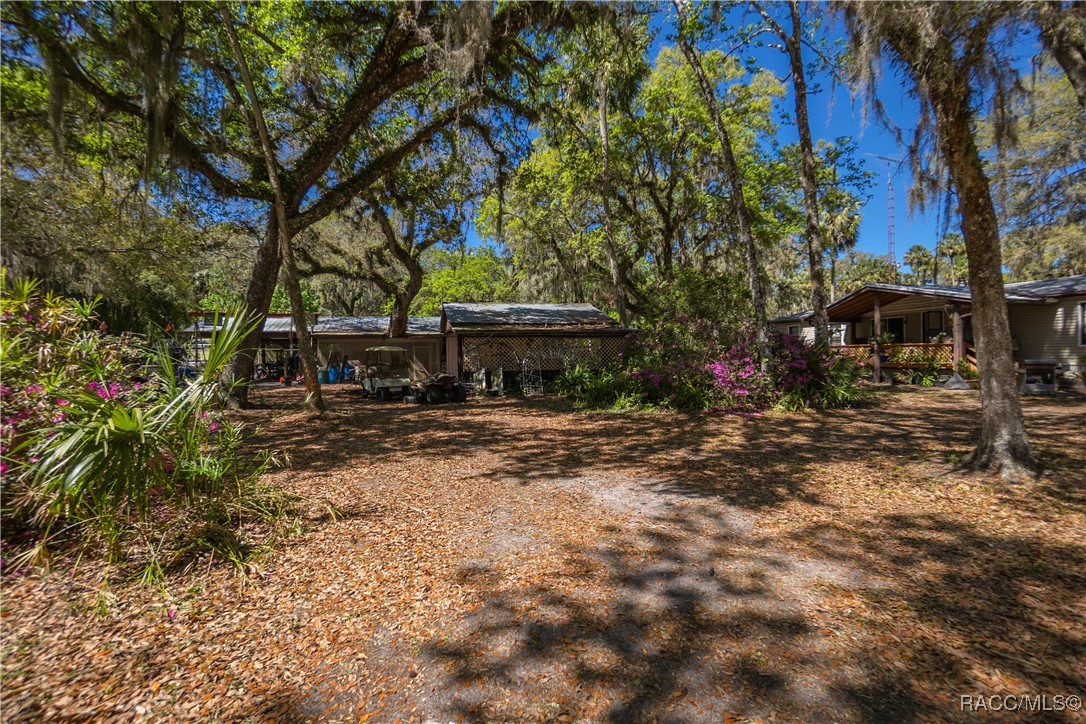 10459 E Lucas Trail, Inverness, Florida image 6
