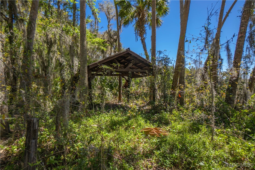 10459 E Lucas Trail, Inverness, Florida image 26