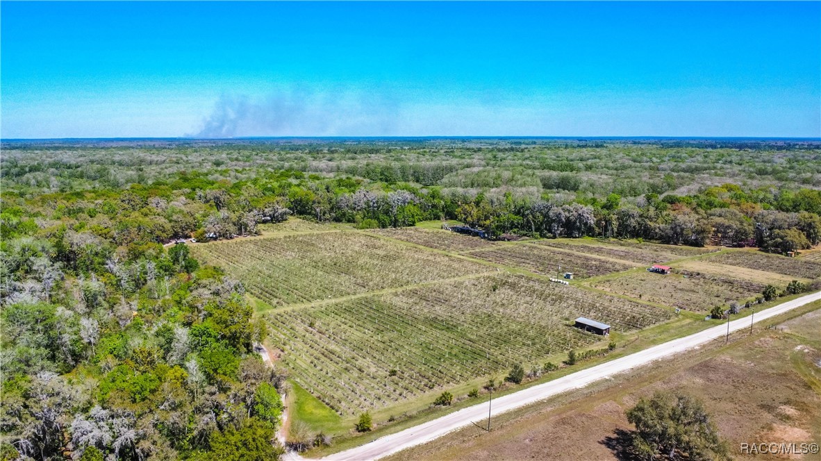 10459 E Lucas Trail, Inverness, Florida image 46